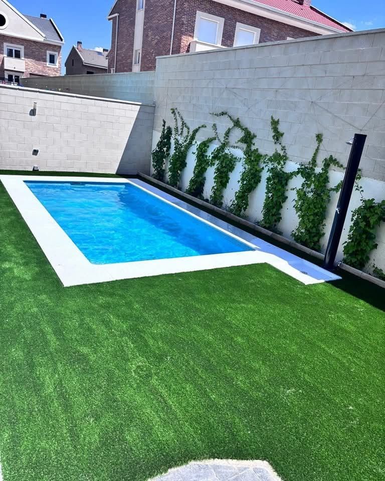 Piscina azul junto a muro con trepadoras