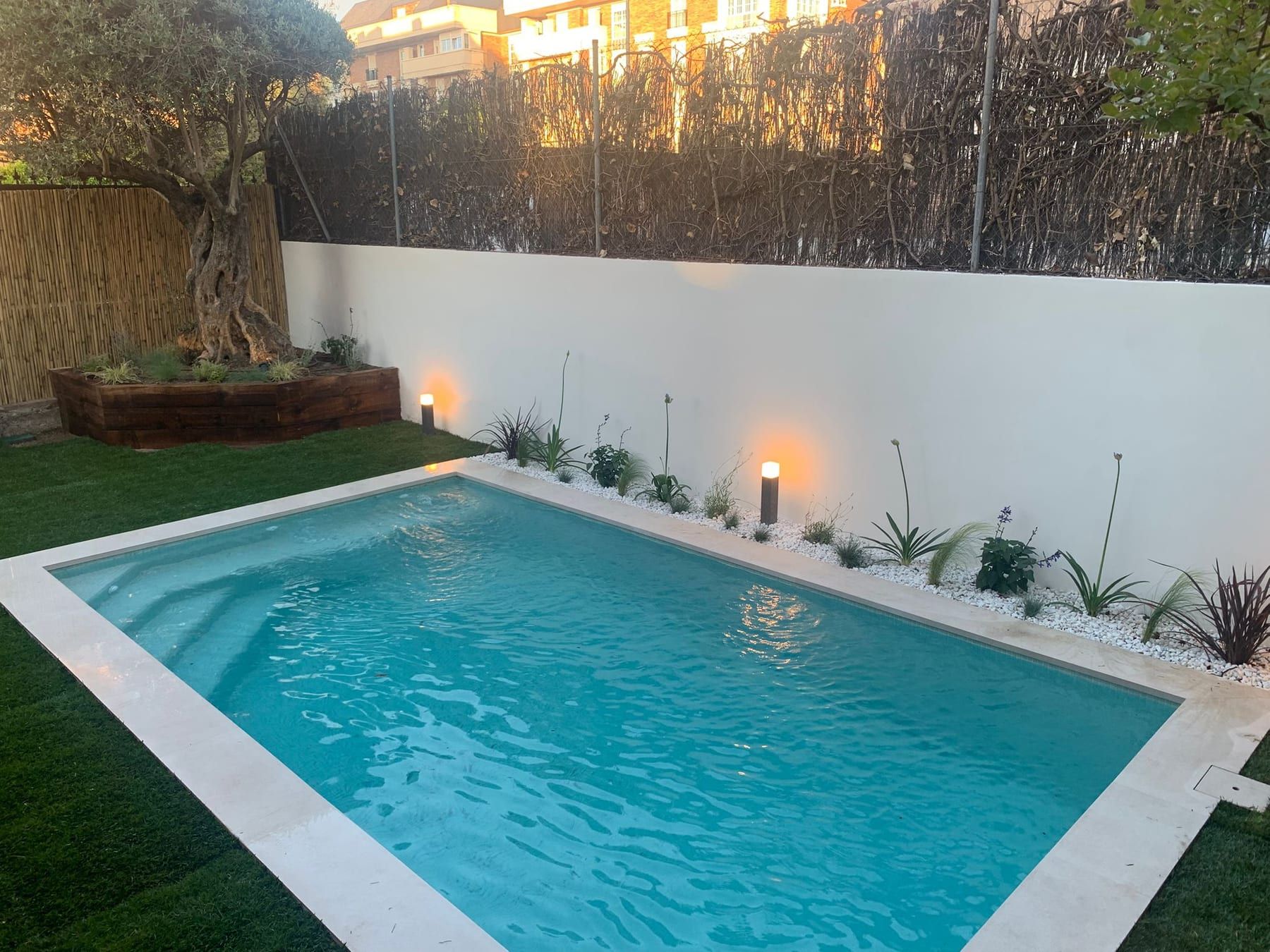 Piscina con muro blanco, olivo e iluminación de jardín, vista 2