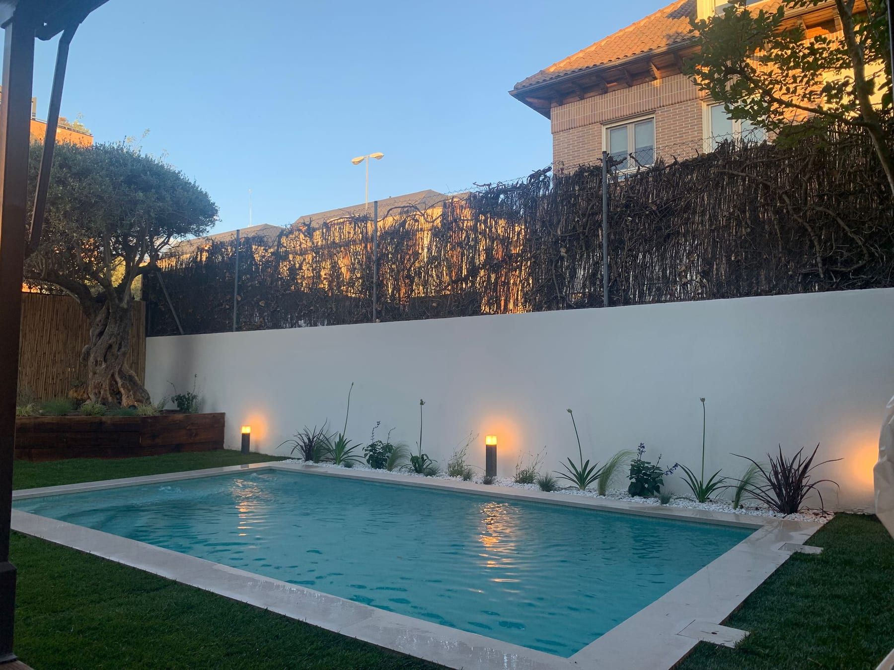 Piscina con muro blanco, olivo e iluminación de jardín, vista 4